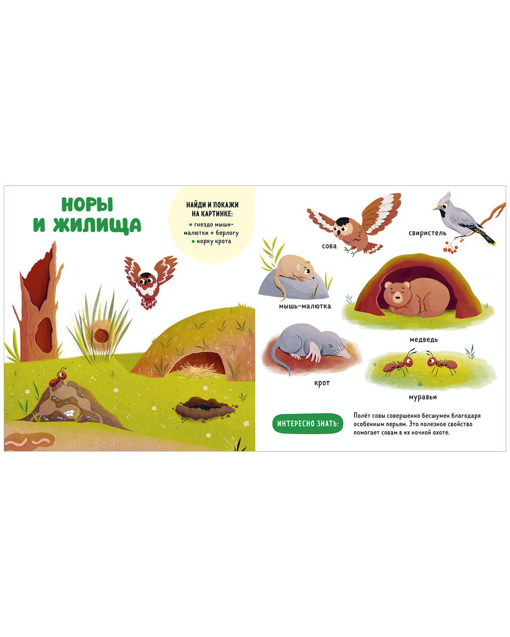 Главная книга малыша. Прогулки по лесу