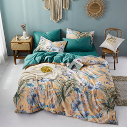 Постельное белье 2 спальное евро Luxe Dream Ravelli C1001E