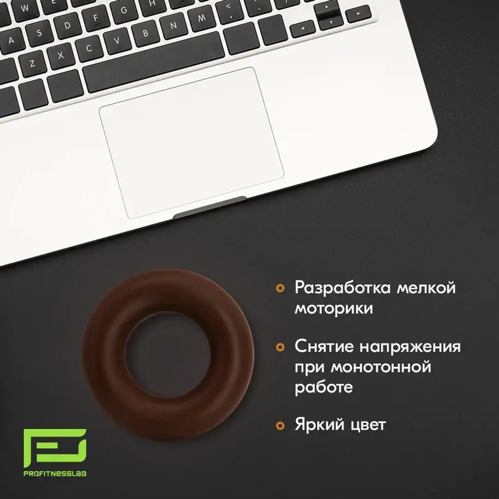 ЭСПАНДЕР КИСТЕВОЙ PROFITNESSLAB 50 КГ