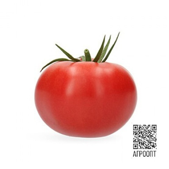 Кавагучи F1 семена томата (Rijk Zwaan / Райк Цваан) продукт – фото 2