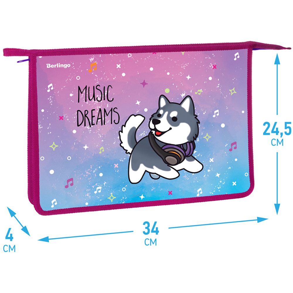 Папка для тетрадей 1 отделение А4 на молнии Berlingo Husky boy, пластик