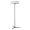 Торшер Divinare Alma 1029/06 PN-11