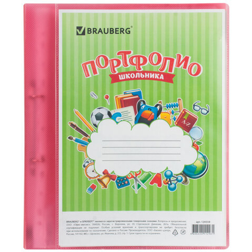 Портфолио школьника, 2 кольца, 20 файлов, BRAUBERG