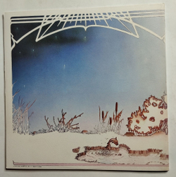 Винтажная виниловая пластинка LP Camel Moonmadness (Japan 1976)