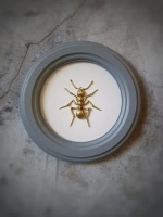 Панно 18 см. насекомые на стену для интерьера Муравей