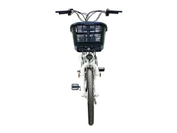 Электровелосипед Green Camel Транк-20 V2 (R20 250W) Алюм, редукторный