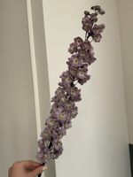 Дельфиниум сиреневый