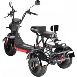 Электроскутер CityCoco WHITE SIBERIA TRIKE MINI 1500W Черный