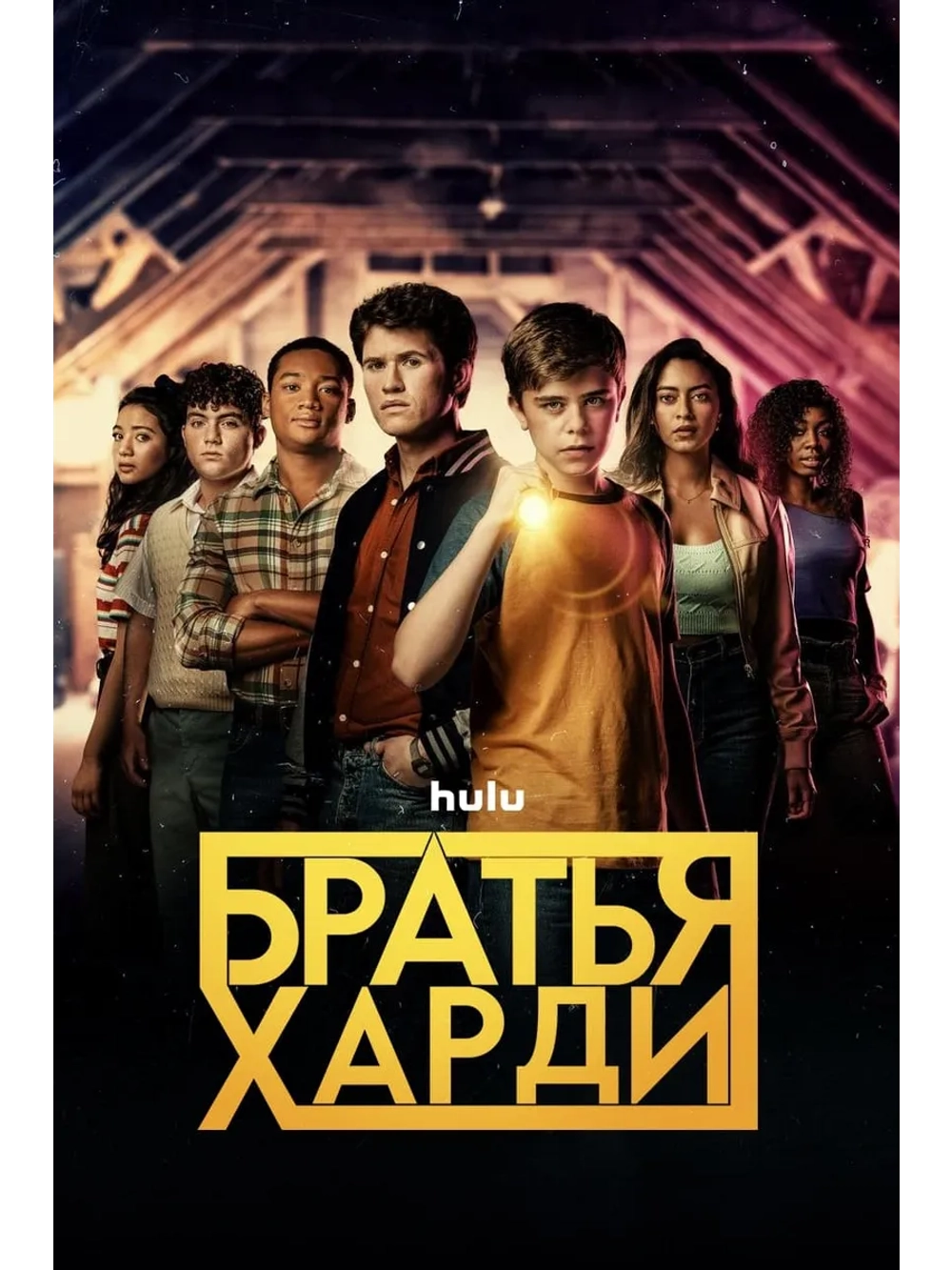 Братья Харди, 1 сезон (DVD-R)