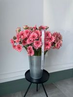 Гербера в нежно-розовом оттенке