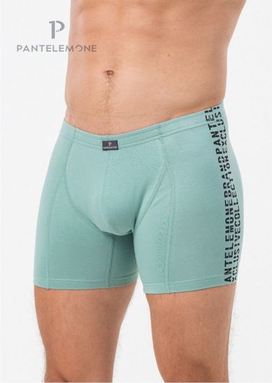 Трусы мужские боксеры удлинённые Pantelemone PMHL-1493, виридиан