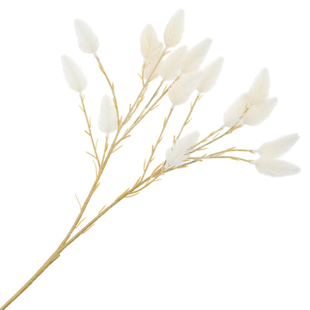 Сухоцветы "Фалярис" H60см (Белый)