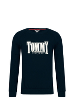 Худые Tommy Hilfiger - темно-синий(KG0KG06953)