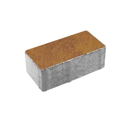 Тротуарная плитка ПРЯМОУГОЛЬНИК 200x100 мм - Листопад гладкий Каир