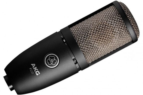 AKG P220