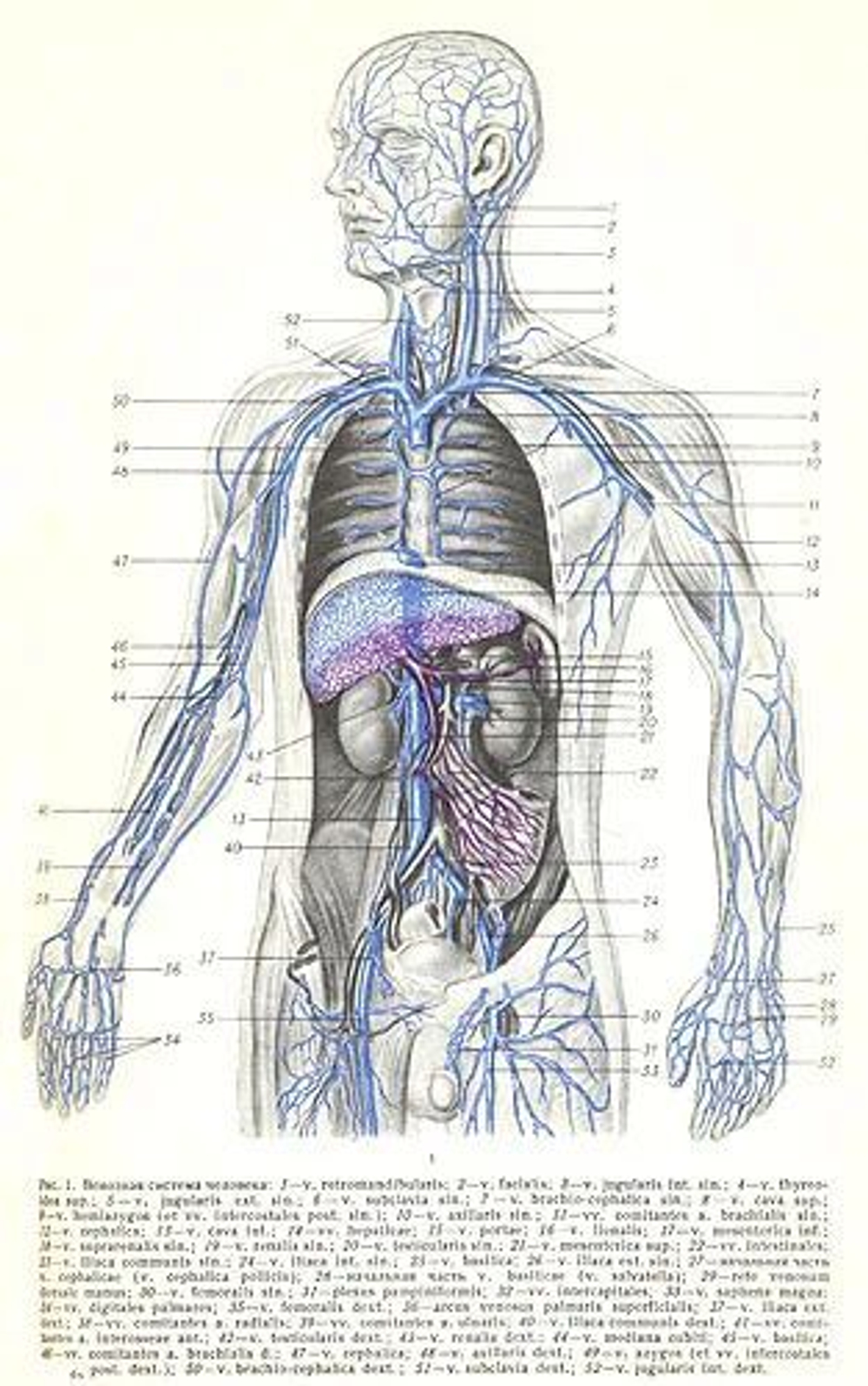 Большая медицинская энциклопедия. В 35-ти томах + дополнительный том (комплект из 36-ти книг)