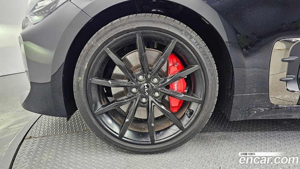Kia Stinger Meister 2.5 MASTER 아크로 Editions (02.2023)