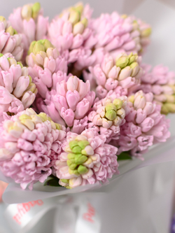 Монобукет из Гиацинтов