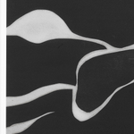 Постер Print Litho: Tides in Sepia III арт.115390