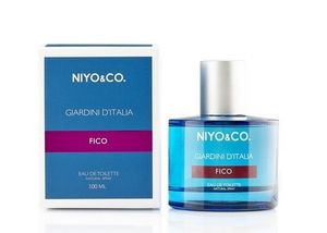 NIYO and CO Fico