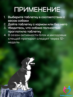 Рабектра 500 мг жевательная таблетка против блох и клещей для собак весом 10-20 кг, 1 таблетка