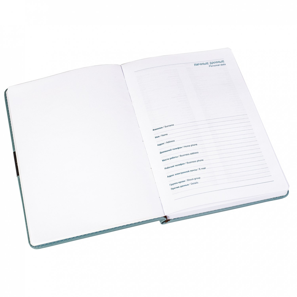 Ежедневник недатированный, А5, Yalong, 7БЦ, ПВХ, иск. кожа, ляссе, клетка, 110л., "Синий"