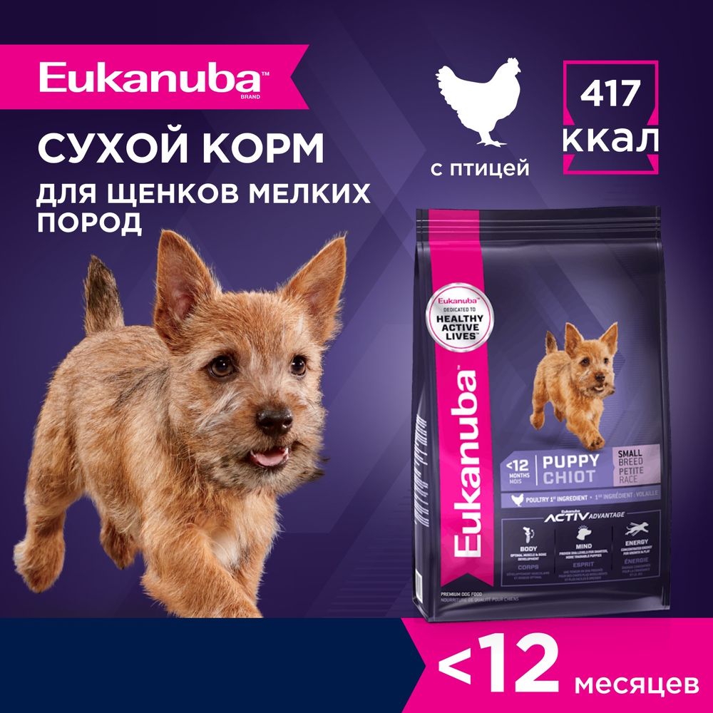 Сухой корм Eukanuba Puppy Small Breed ˂12 Months для щенков мелких пород с птицей Сухой корм Eukanuba Puppy Small Breed ˂12 Months для щенков мелких пород с птицей