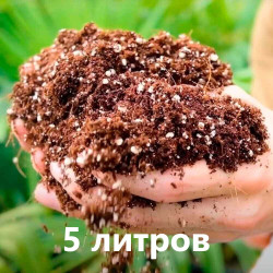Субстрат Plagron Cocos Perlite 70/30 50 л.