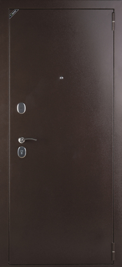 Дверь входная Вектор