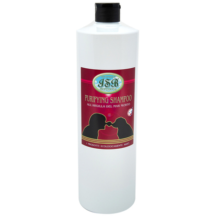 Шампунь Iv San Bernard Тechnique очищающий на основе глины Мертвого моря 1 л