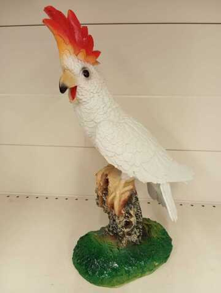 попугай Какаду (F01241)