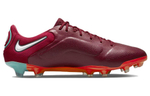 Кроссовки Nike Legend 9 Elite Fg