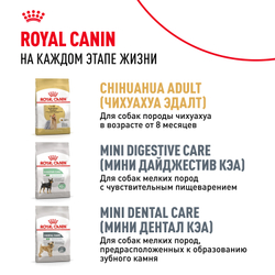 Royal Canin Chihuahua Puppy Корм сухой для щенков породы Чихуахуа до 8 месяцев - 0,5 кг