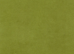 Велюр Verona apple green (Верона эппл грин) 38