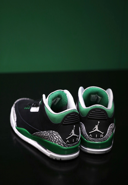 Мужские кроссовки Air Jordan 3 retro "pine green" CT8532-030