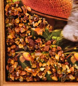 AMB-71/53 Картина «Дружная семейка котят и щенка» (с янтарной крошкой) дер.краш.рамка 21х30