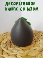 Декоративное кашпо из гипса со мхом черный матовый