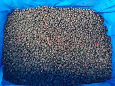 Черника дикорастущая (электронная очистка) РБ / Коробка 10 кг