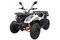 Квадроцикл KAYO AU300 Carb