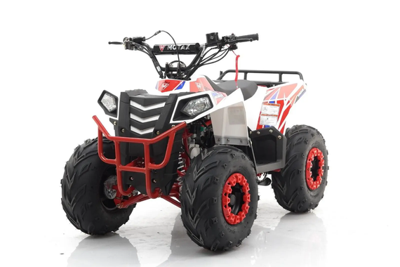 Квадроцикл MOTAX Grizlik A110