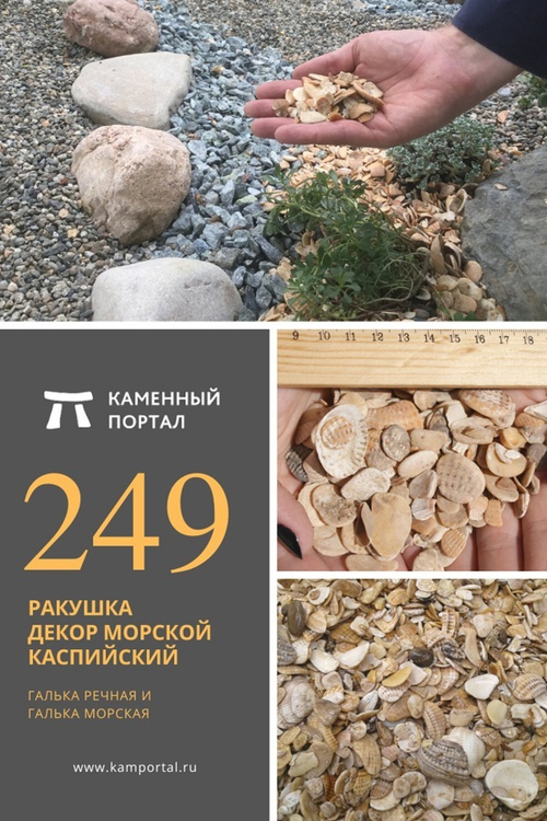Ракушка декор морской Каспийский /тонна