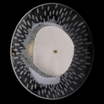 Бра Crystal Lux CONTESSA AP2.1