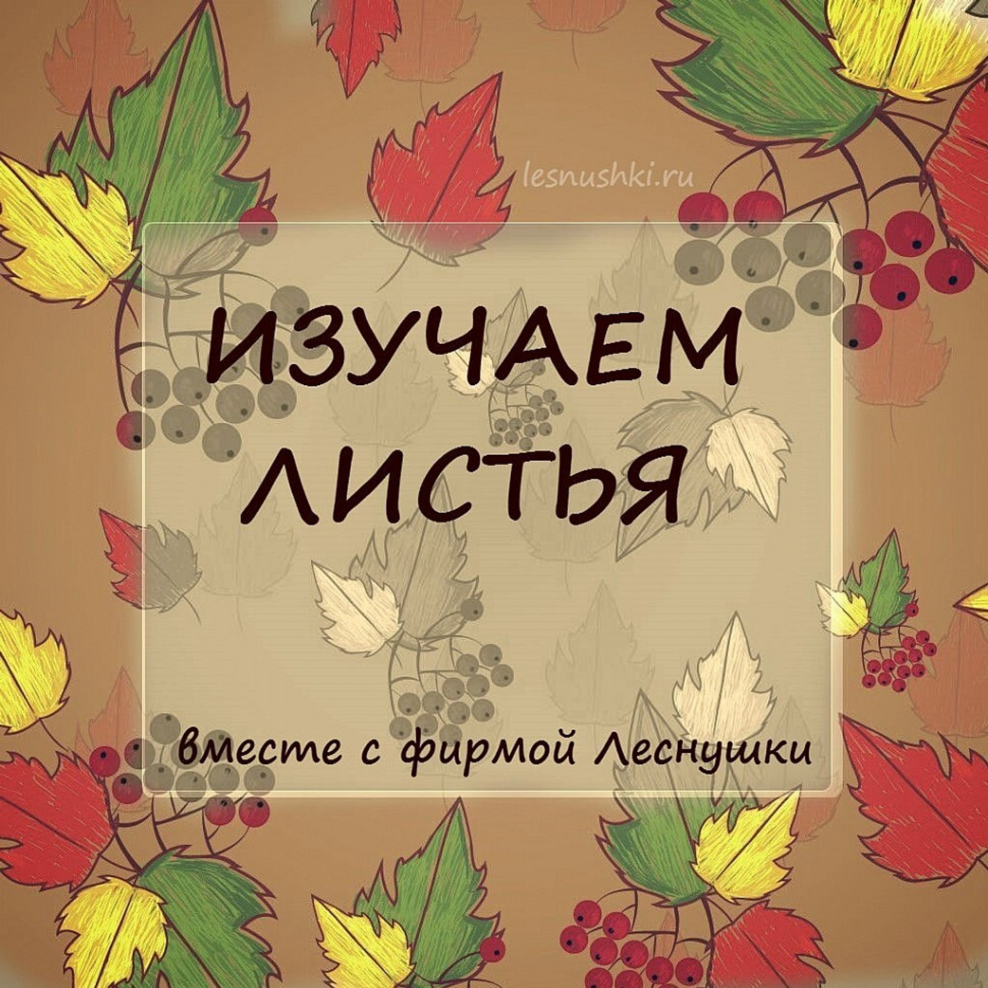Изучаем листья с фирмой Леснушки