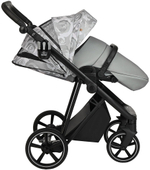 Детская коляска Roan Sol Flowers 3 в 1 с автокреслом Pituso Baesa Pro Black,Beige Canopy RSF/5002 Gray/Black