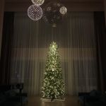 Ствольная елка «Алтайская узкая» (Литая хвоя) от 3,5 м до 6 м