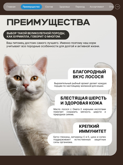 Корм сухой для взрослых кошек породы Бурмилла, с лососем, 400 гр, QUATTRO