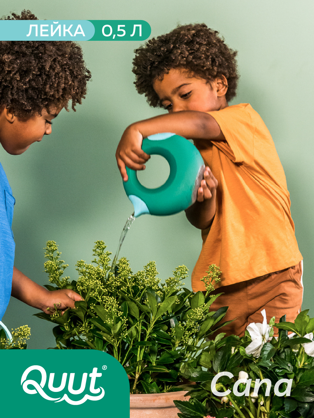 Волшебная лейка Cana (0.5 л)