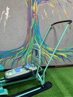 Снегокат «Тимка спорт 6» с динозавриком (арт. ТС6/Д)