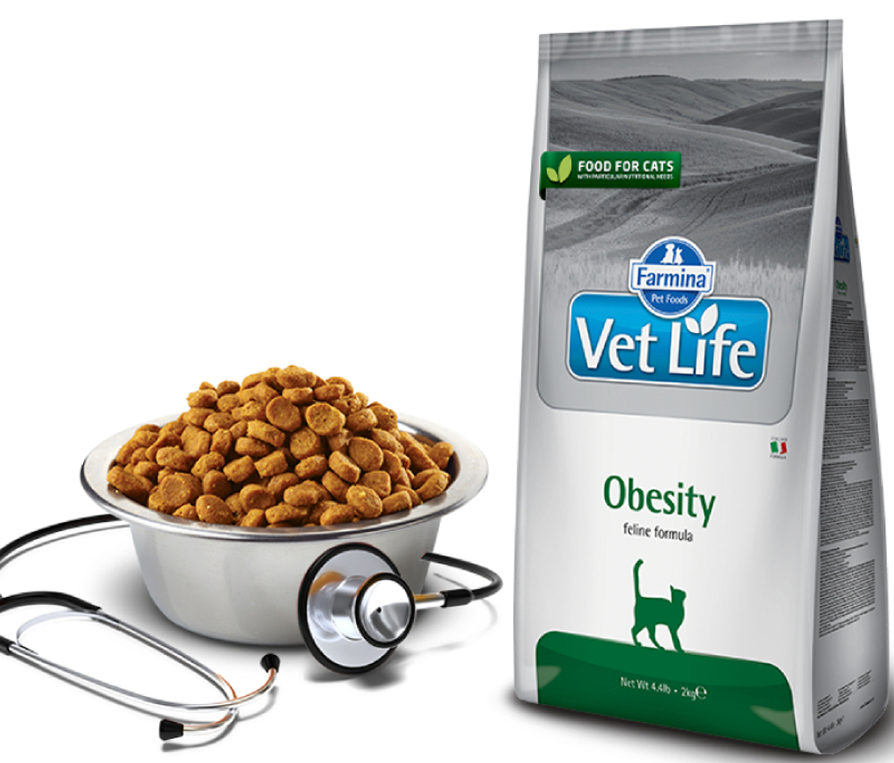 Сухой корм FARMINA Obesity Feline для взрослых кошек при ожирении - 0,4 кг