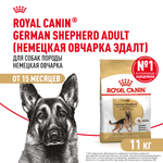Royal Canin German Shepherd Adult Немецкая овчарка Эдалт Корм сухой для взрослых собак породы Немецкая овчарка 11кг